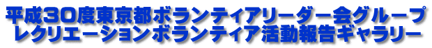 平成３０度東京都ボランティアリーダー会グループ  レクリエーションボランティア活動報告ギャラリー