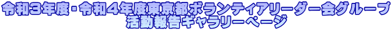 令和３年度・令和４年度東京都ボランティアリーダー会グループ 　　　　　　　　　活動報告ギャラリーページ