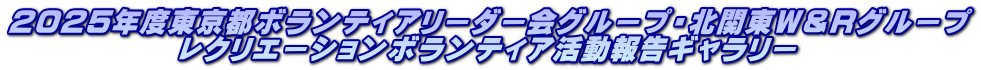 2025年度東京都ボランティアリーダー会グループ・北関東Ｗ＆Ｒグループ 　　　　　　レクリエーションボランティア活動報告ギャラリー
