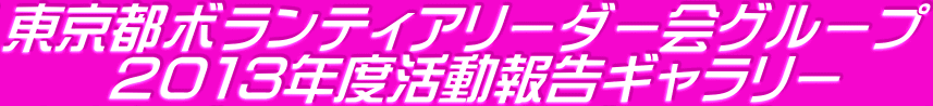 東京都ボランティアリーダー会グループ 　　２０１３年度活動報告ギャラリー