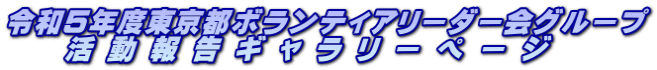 令和５年度東京都ボランティアリーダー会グループ 　　活 動 報 告 ギ ャ ラ リ ー ペ ー ジ