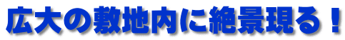 広大の敷地内に絶景現る！