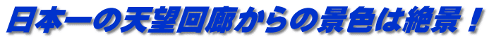 日本一の天望回廊からの景色は絶景！