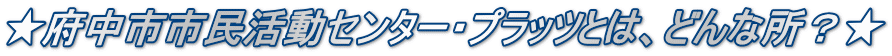 ★府中市市民活動センター・プラッツとは、どんな所？★